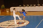 2006 04 01 acro val marne 173